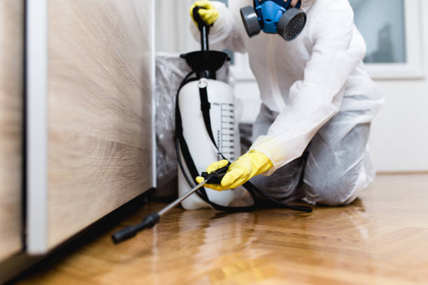 Best Affordable Pest Control Services  in Mountain Top, PA