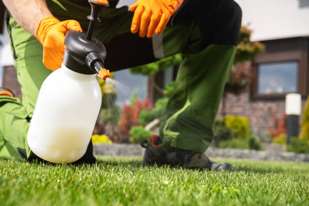 Best Pest Removal Services  in Mountain Top, PA