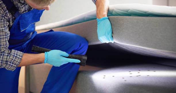 Best Mosquito Control Services  in Mountain Top, PA
