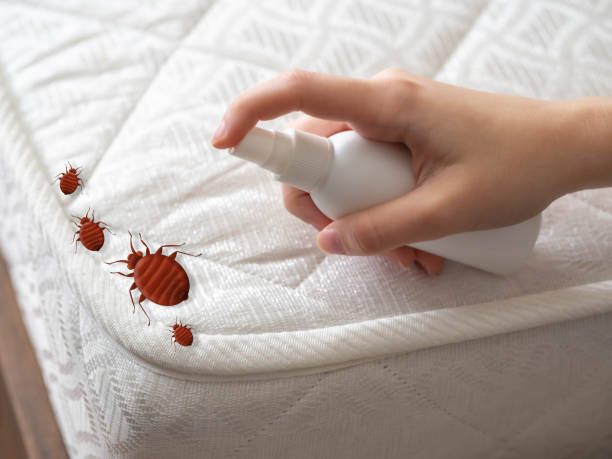 Best Residential Pest Control  in Mountain Top, PA