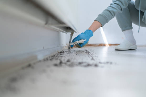Wildlife Control Services in Mountain Top, PA